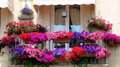 Balkon Bahçesi İçin İlham Veren En İyi Fikirler