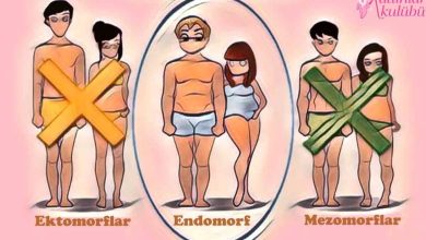 Endomorf Diyeti Nedir? Mezomorflar, Ektomorflar Hakkında Bilmeniz Gereken 3 Şey